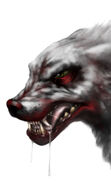 "DireWolffinish" (Wolf Form)