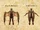 Nosgoth-Character-Sentinel-WingActionDetails-Right.jpg