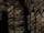 Grp00069.png