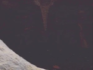 Cinematic: Bat Form (Dark Eden)