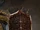 Malek's Shield