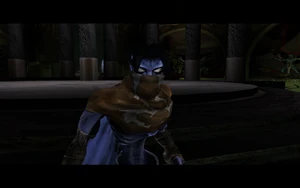Cutscene: The Elder's Warning