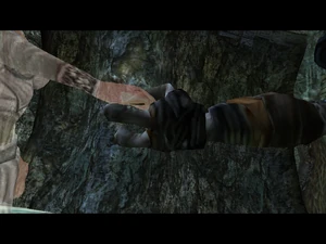 Cutscene: The transformation of the Reaver