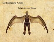 Nosgoth-Character-Sentinel-WingActionDetails-Left.jpg (300 KB)
