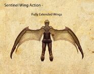 Nosgoth-Character-Sentinel-WingActionDetails-Left