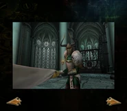 The Sarafan Turel in-game (SR2).