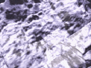 Cinematic: Bat Form (The Oracle's Cave)