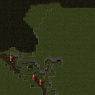 The Eastern half of the North Willendorf camp