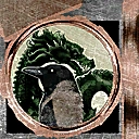 Texture of the Library Seal