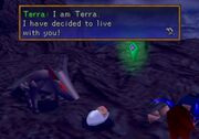 Terra meets noa
