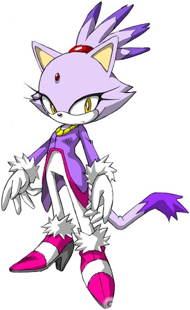 Sonic Ero, duke Nukem, sth, ero, blaze The Cat, sonic The Hedgehog, fandom,  wikia, wiki, Comics