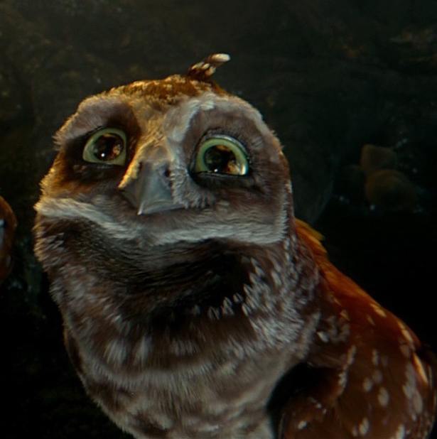 Legend of the Guardians: The Owls of Ga'Hoole (video game) - Wikipedia