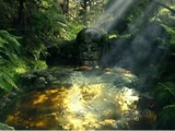 Shadow Water