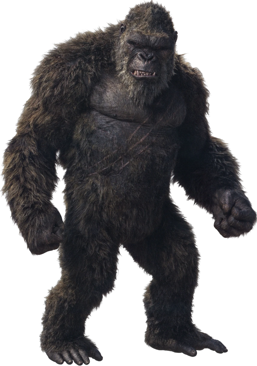 Kong, MonsterVerse Wiki