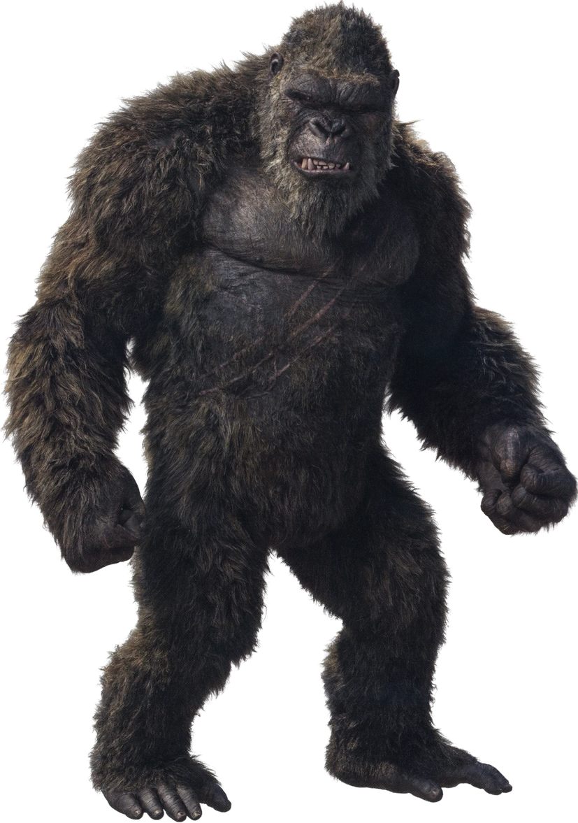 Kong | MonsterVerse Wiki | Fandom