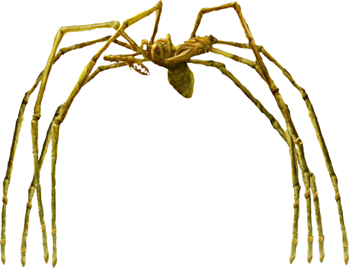 Mother Longlegs, MonsterVerse Wiki