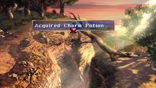 Charm Potion Chest Forest.png