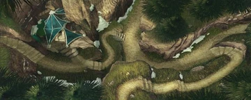 The Evergreen Forest.