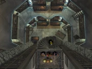 Dart and his group visiting the Mille Seseau National Library.