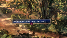 Healing Potion Chest Forest