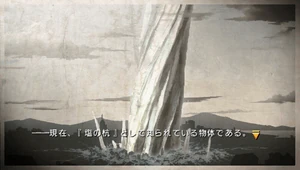 Pillar of salt incident