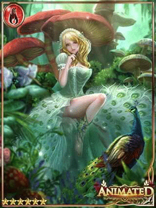 Wonderland Wanderer Wonderland Wanderer
