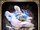 Blessed Bone