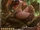 (Centering) Judicious Warrior Asuha