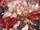 (Fell Bloom) Black-Garbed Amaryllis