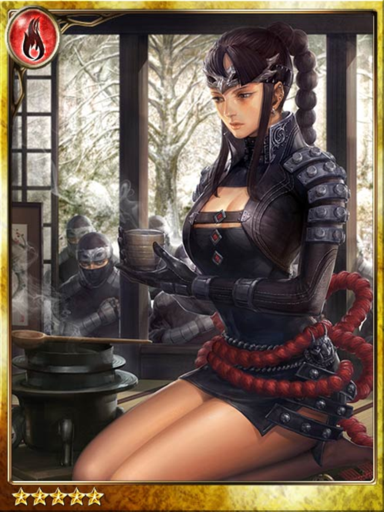 THE KUNOICHI: Woman Ninja Assassin at the Battle of