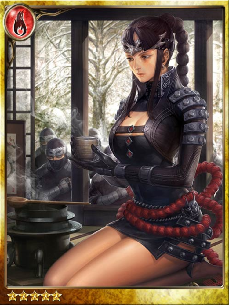  THE KUNOICHI: Woman Ninja Assassin at the Battle of