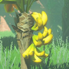 BotW Hyrule Compendium Mighty Bananas