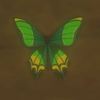 BotW Hyrule Compendium Thunderwing Butterfly