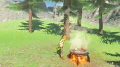 Botw Link Cooking