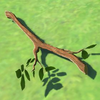BotW Hyrule Compendium Tree Branch