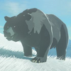 BotW Hyrule Compendium Grizzlemaw Bear