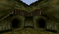 OoT Lost Woods Tunnels.png