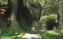 TP Sacred Grove 02.jpg