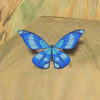 BotW Hyrule Compendium Winterwing Butterfly