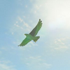 BotW Hyrule Compendium Islander Hawk