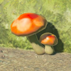 171(174) / 176(179) 海拉魯蘑菇
