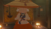 BotW Impa Model