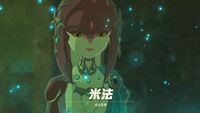 米法 薩爾達傳說wiki Fandom