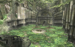 TP Sacred Grove(Temple Ruins)