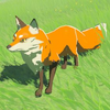 BotW Hyrule Compendium Grassland Fox