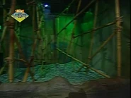 The Bamboo Forest