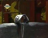 The Bonnet of Dolley Madison