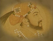 Evil Grand Vizier Needmorupees