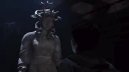 Medusa's Lair