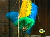 The Plumed Headdress of Cosa-Rara